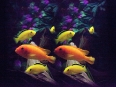 ave-bonar-3d-photography-tropical-fish-2009