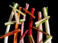 ave-bonar-photography-shards-of-bright-lights-swiss-chard
