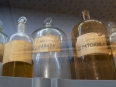 Ave-Bonar-Photo_Florence-Italy_Santa-Maria-Novella-Pharmacy_3642