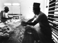 ave-bonar-photo_lower-rio-grande-valley_bakers