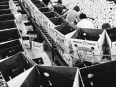 ave-bonar-photo_lower-rio-grande-valley_canteloupe-packing-plant-overview