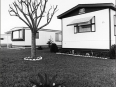 ave-bonar-photo_lower-rio-grande-valley_trailer-park
