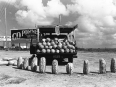 ave-bonar-photo_lower-rio-grande-valley_watermelon
