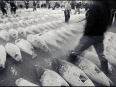 ave-bonar-photo-tuna-auction-tsukiji-market-tokyo-japan