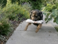 ave-bonar-photography-lulu-with-paper