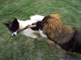 ave-bonar-photography-stella-and-lulu
