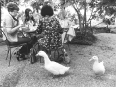 ave-bonar-photography-women-and-ducks