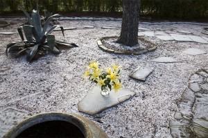 Rare snowfall in Austin January 24, 2014